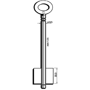 CHIAVE CASSAFORTE MASCHIO