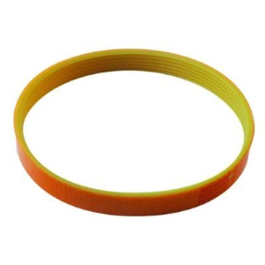 CINGHIA (PJ356) (R)
