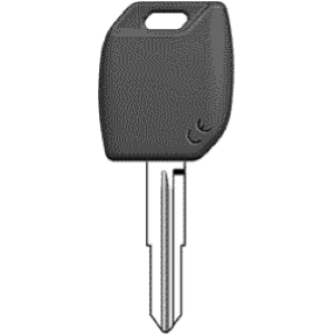 INSERTO CH. TESTA ELETTRONICA OTTONE