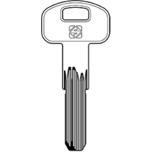 SCM5R CHIAVE OTTONE (EVOC1)