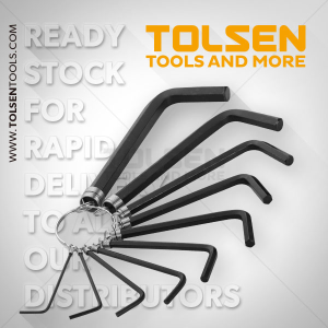 SERIE CHIAVINI ESAGONALI 10 PZ 20051