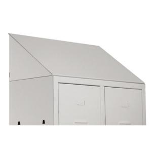 TETTO INCLINATO CM.101X50